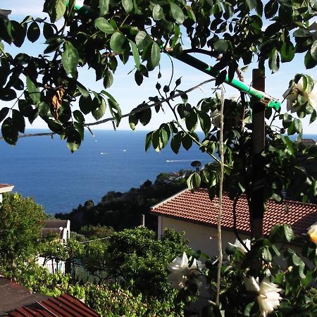 Vila Le Mimose Vietri Exteriér fotografie