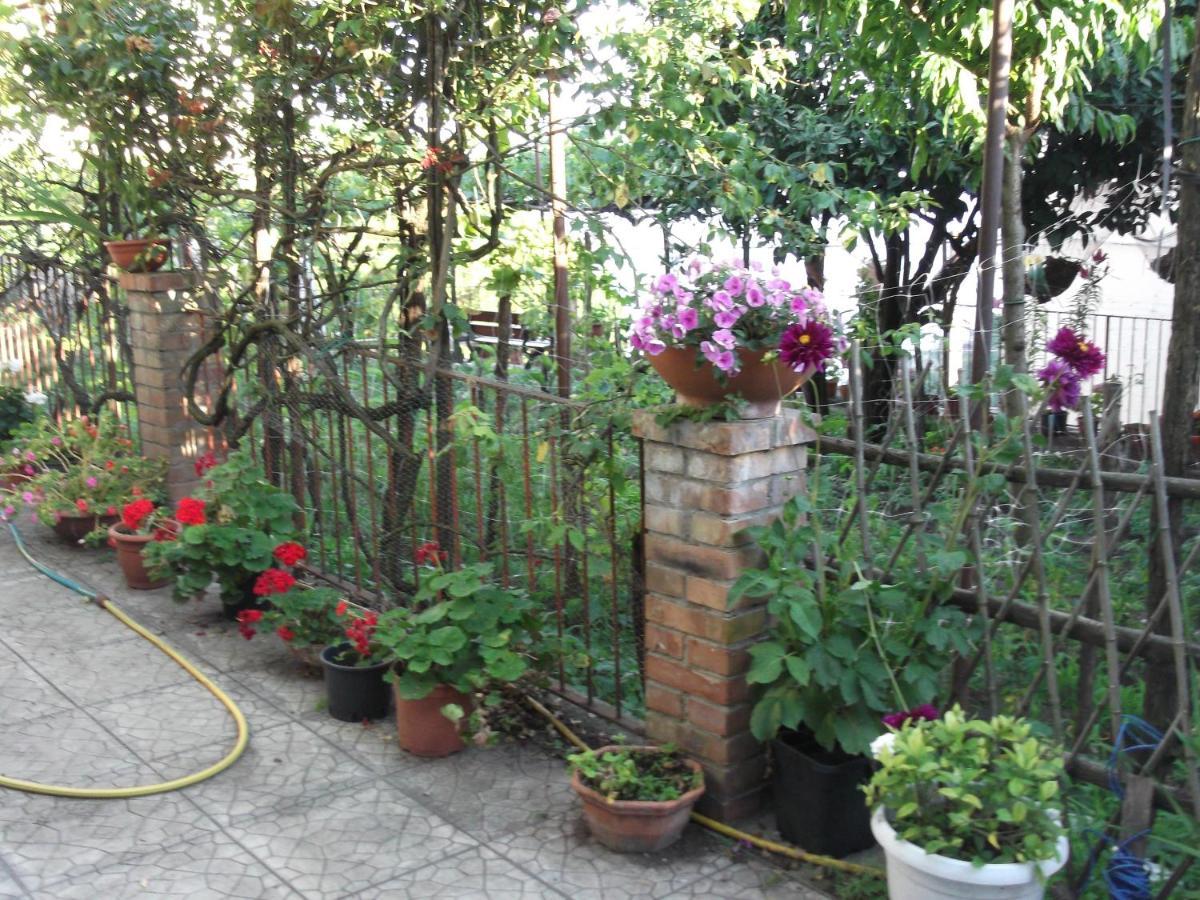 Vila Le Mimose Vietri Exteriér fotografie