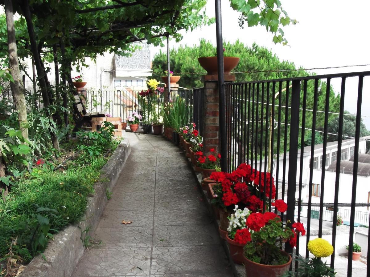 Vila Le Mimose Vietri Exteriér fotografie