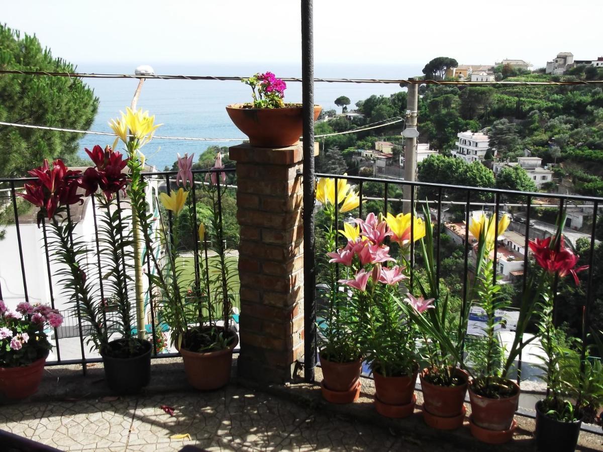 Vila Le Mimose Vietri Exteriér fotografie