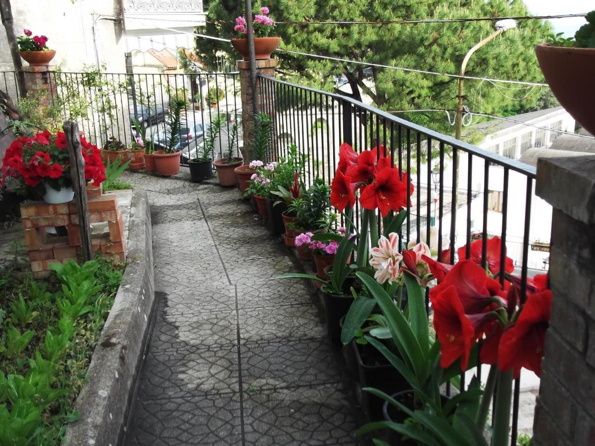 Vila Le Mimose Vietri Exteriér fotografie