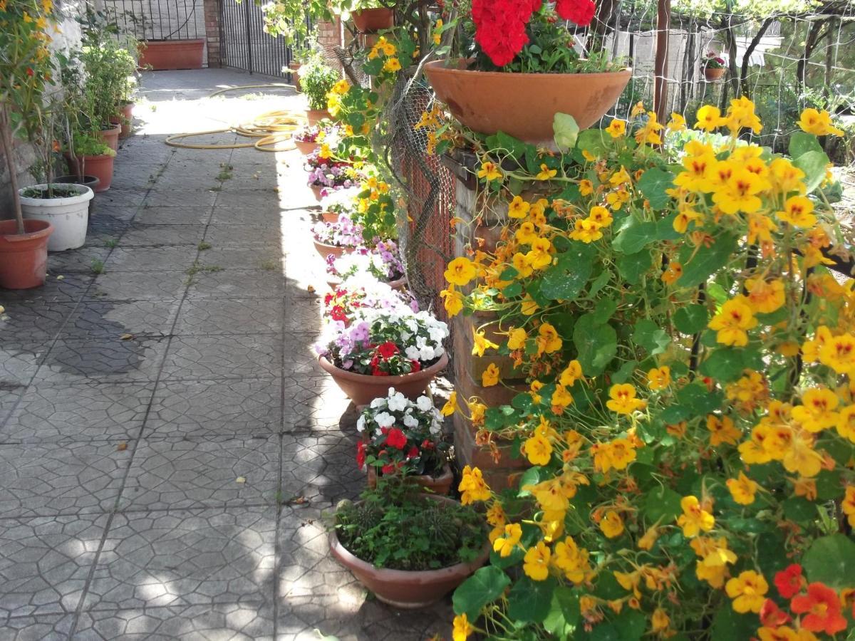 Vila Le Mimose Vietri Exteriér fotografie