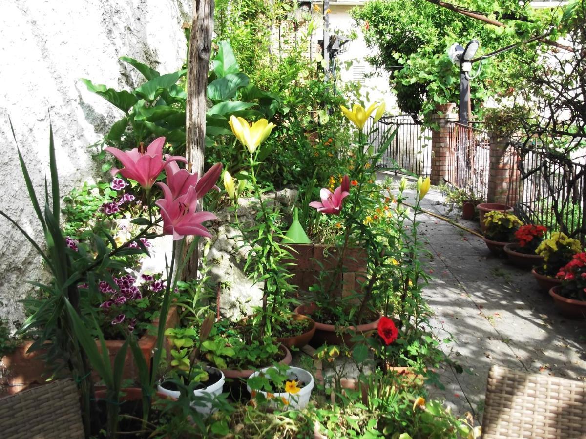Vila Le Mimose Vietri Exteriér fotografie