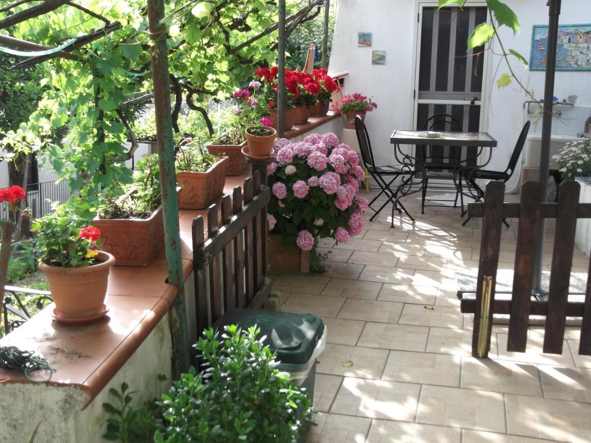 Vila Le Mimose Vietri Exteriér fotografie