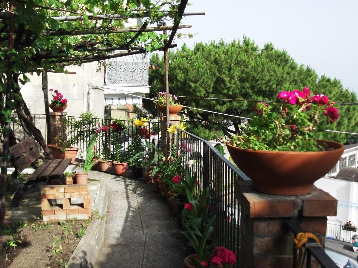 Vila Le Mimose Vietri Exteriér fotografie