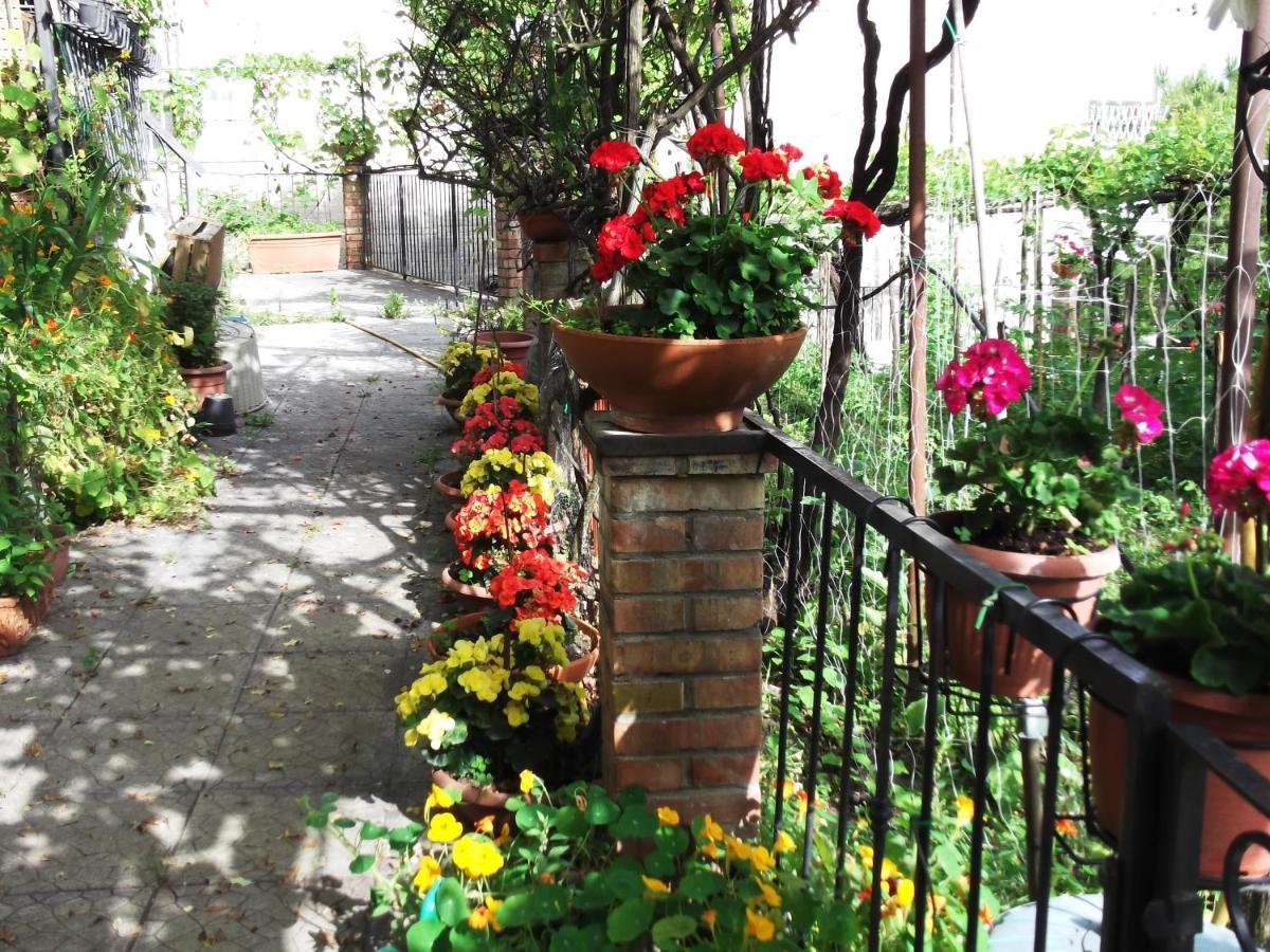 Vila Le Mimose Vietri Exteriér fotografie