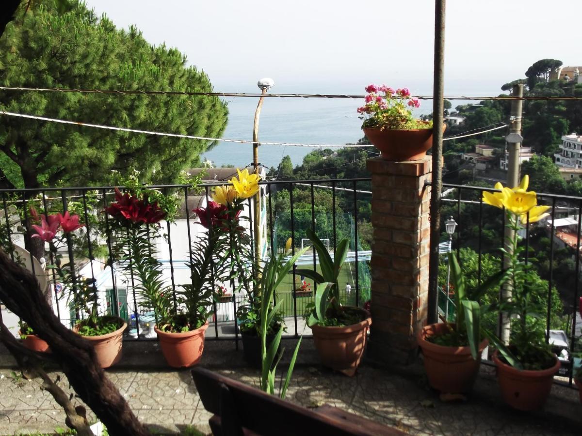 Vila Le Mimose Vietri Exteriér fotografie