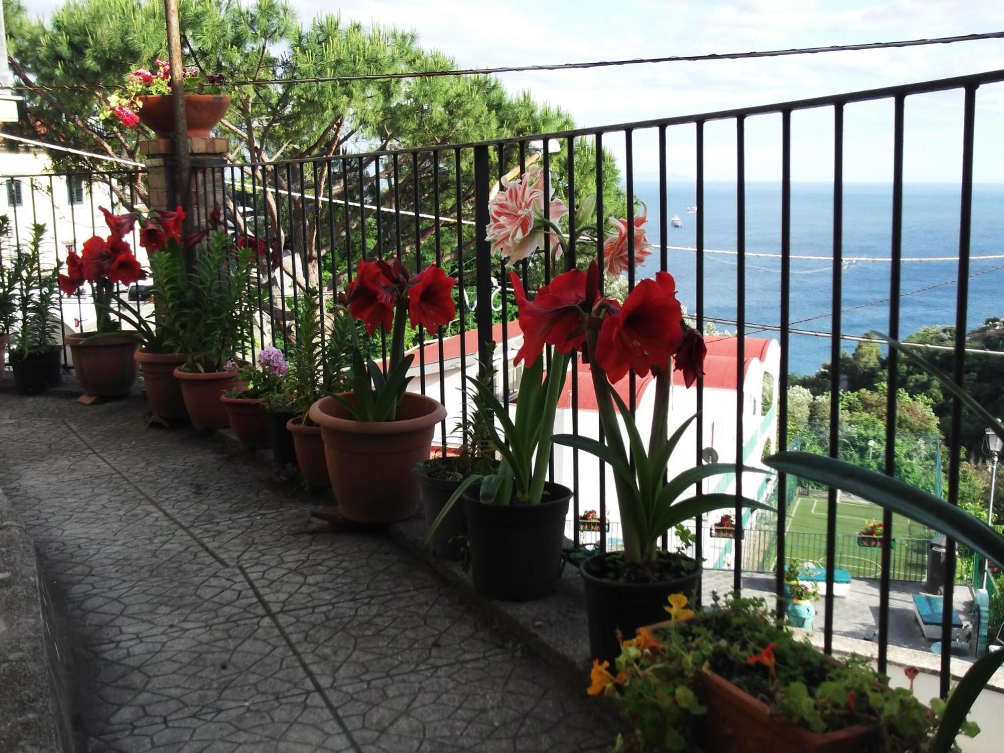 Vila Le Mimose Vietri Exteriér fotografie