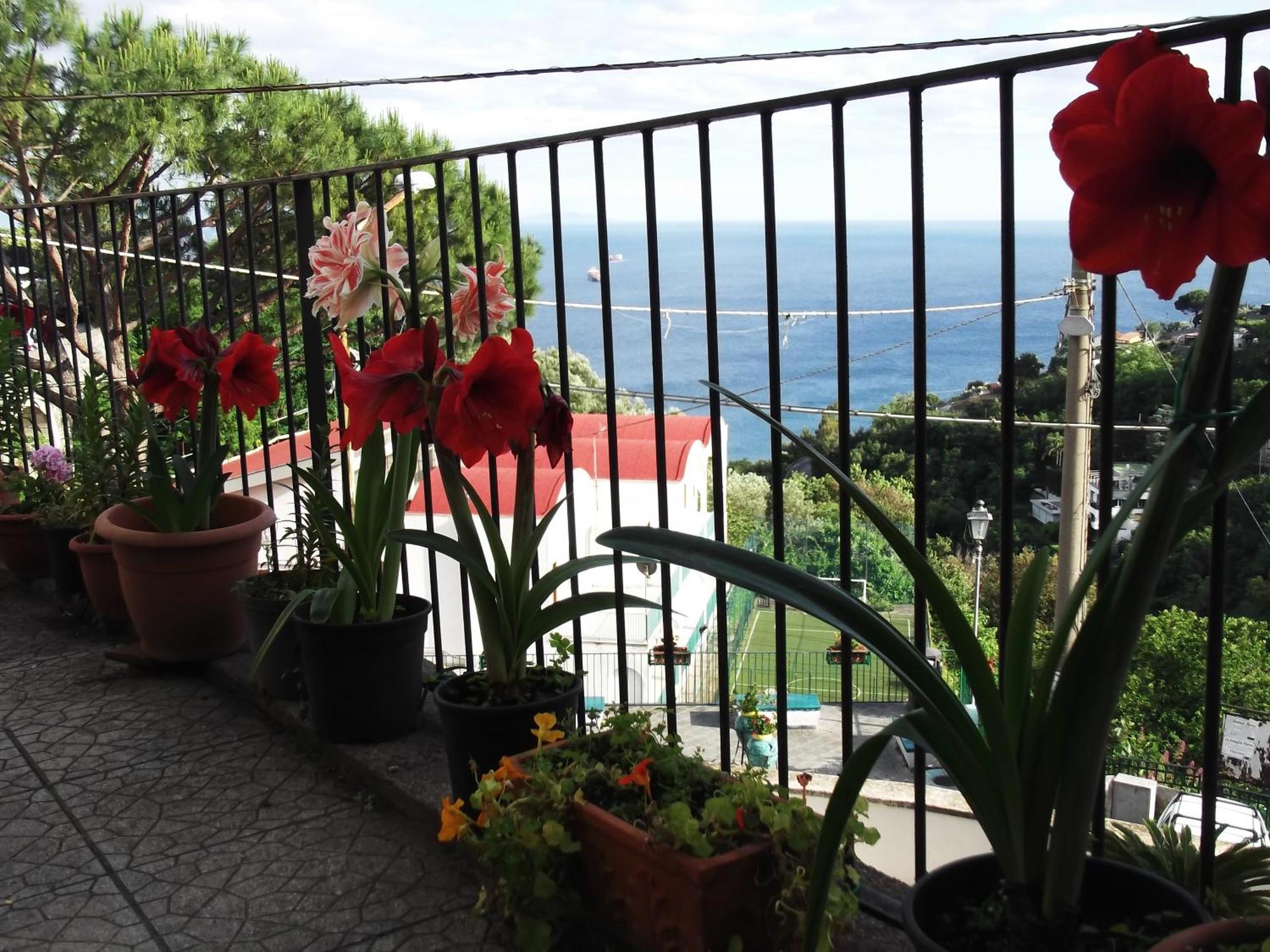Vila Le Mimose Vietri Exteriér fotografie