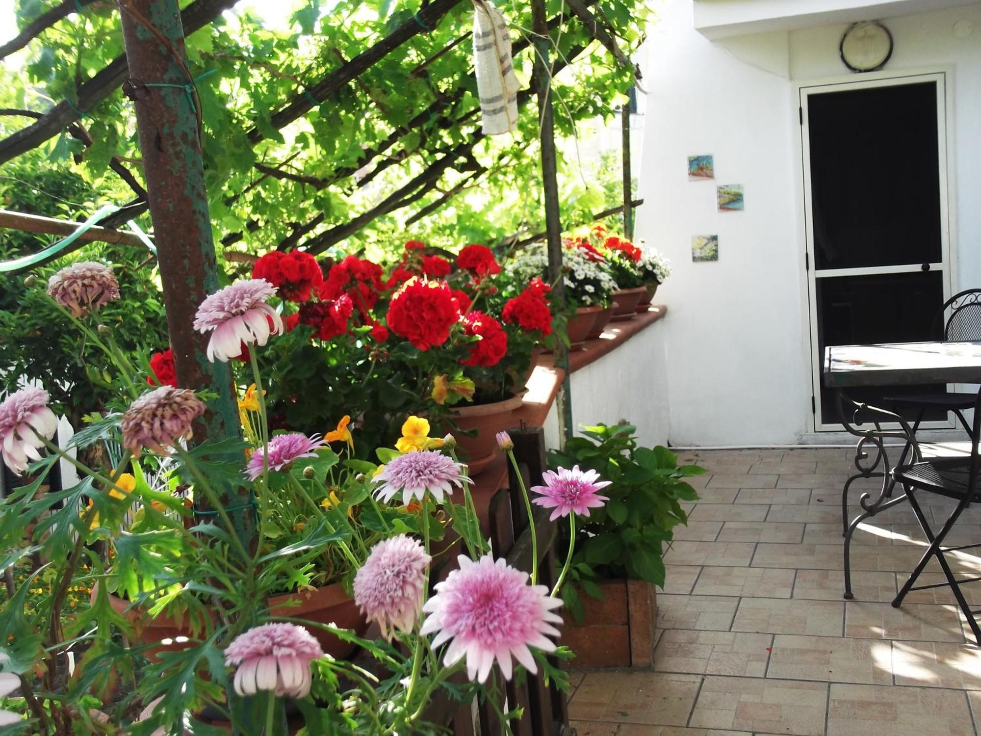 Vila Le Mimose Vietri Exteriér fotografie
