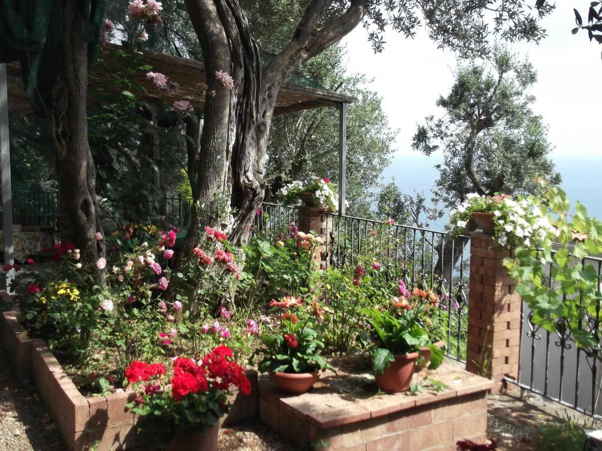 Vila Le Mimose Vietri Exteriér fotografie