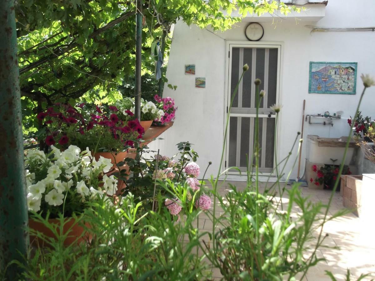 Vila Le Mimose Vietri Exteriér fotografie