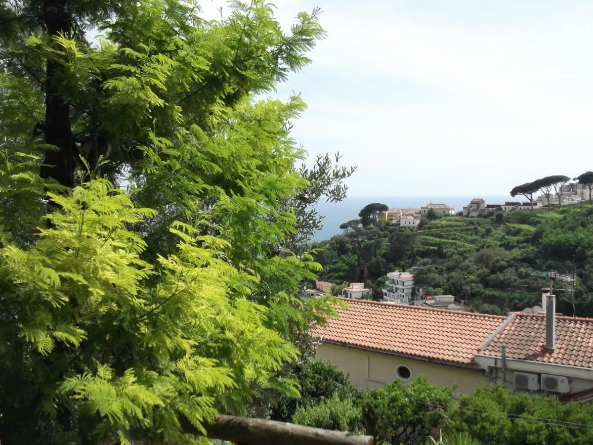 Vila Le Mimose Vietri Exteriér fotografie