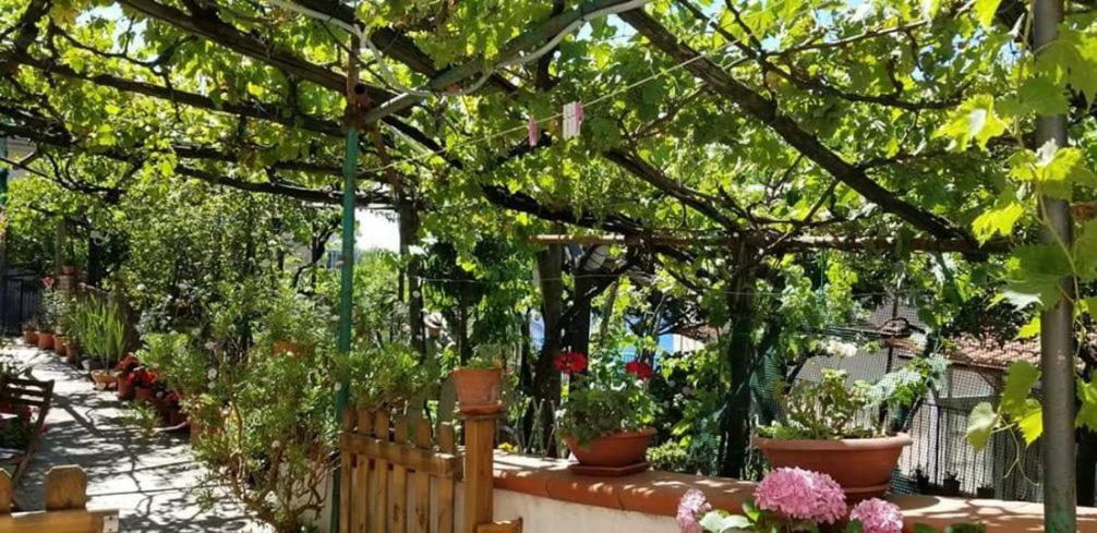 Vila Le Mimose Vietri Exteriér fotografie